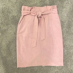 Ann Taylor Skirt
